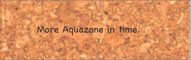 More Aquazone in time...